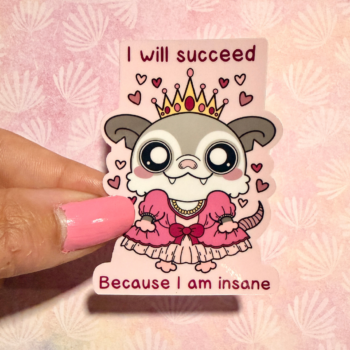 I Will Succeed Because I am Insane | Chaos the Possum Sticker
